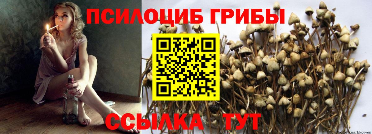 Кимовск  Псилоцибиновые грибы GOLDEN TEACHER  Вход с VPN  Псилоцибиновые грибы ЛСД 