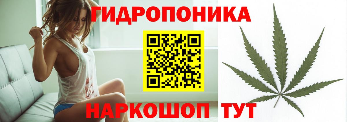 Канабис ГИДРОПОН Кимовск